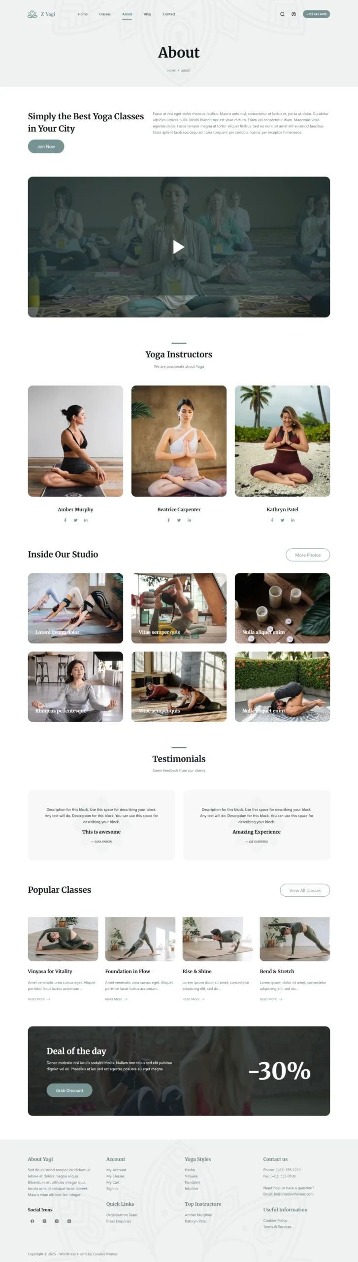 Zyogi - Giới thiệu